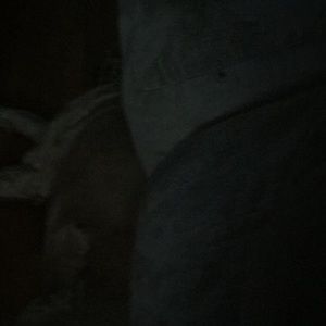 Meet your Posher, Scott